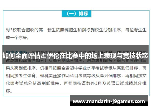如何全面评估霍伊伦在比赛中的场上表现与竞技状态