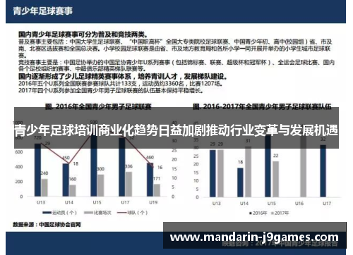 青少年足球培训商业化趋势日益加剧推动行业变革与发展机遇