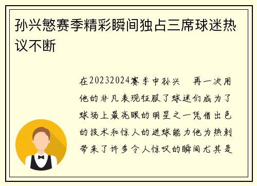孙兴慜赛季精彩瞬间独占三席球迷热议不断